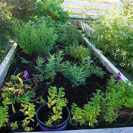 بيت ضيافة Frugga Og Straumsjoen