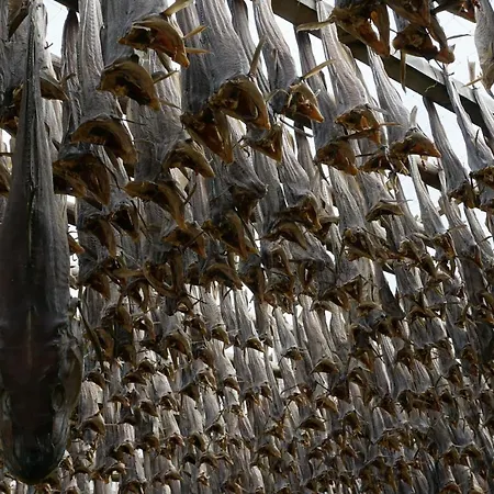 Frugga Og بيت ضيافة