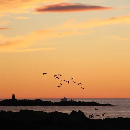 בית הארחה Frugga Og