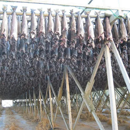 Frugga Og Straumsjoen