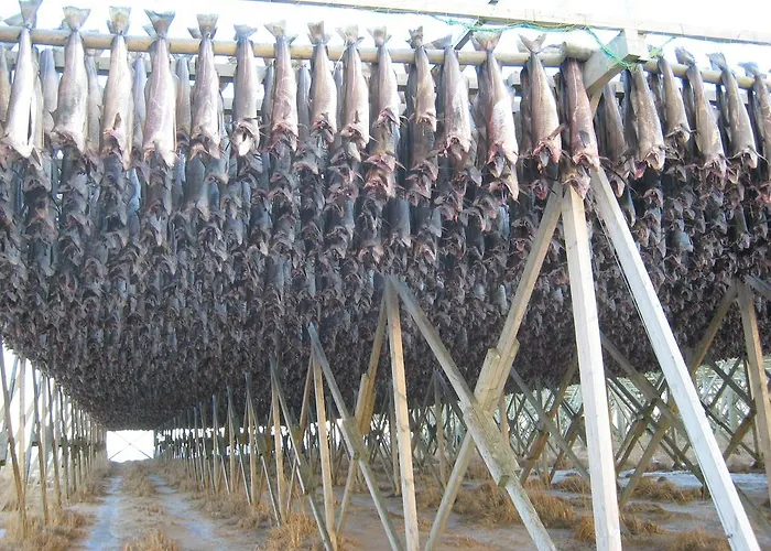 Frugga Og Straumsjoen