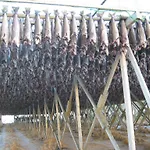 Frugga Og Straumsjoen