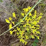 Gasthof Frugga Og Straumsjoen